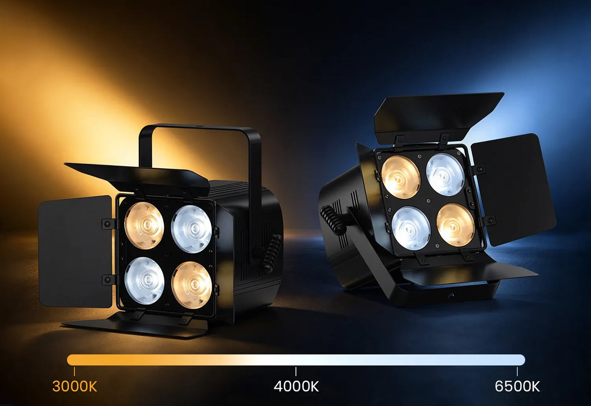 LC005-B-800x550-02