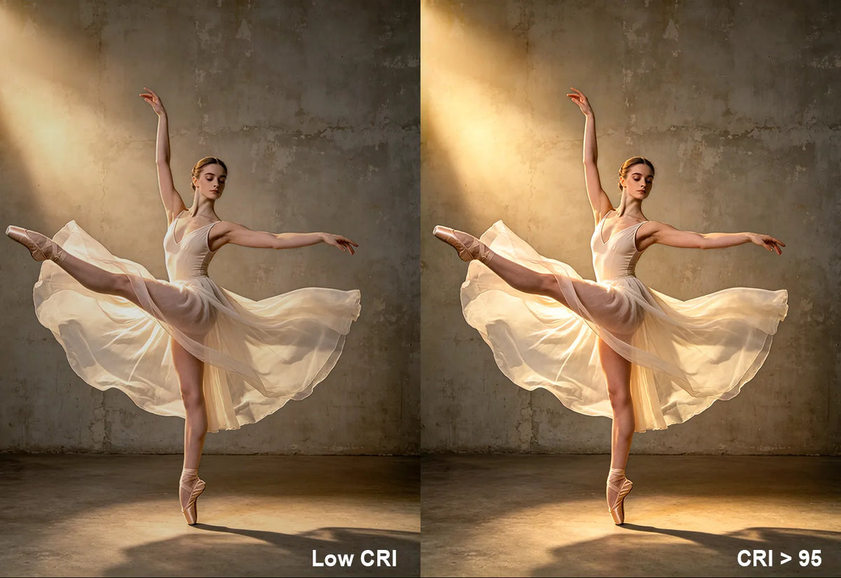 LC005-B-800x550-03